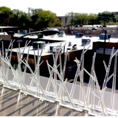 Image showing  10 ft. Poly Bird Spikes Kit with Adhesive