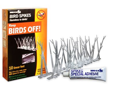 Image showing  10 ft. Poly Bird Spikes Kit with Adhesive