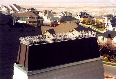 Image showing 5 th Bird-X 10 ft. Poly Bird Spikes Kit with Adhesive