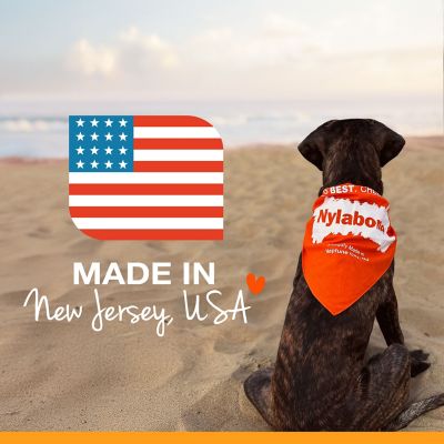 Image showing 7 th Nylabone Dura Chew Peanut Butter Flavored Dog Chew Bone, Medium
