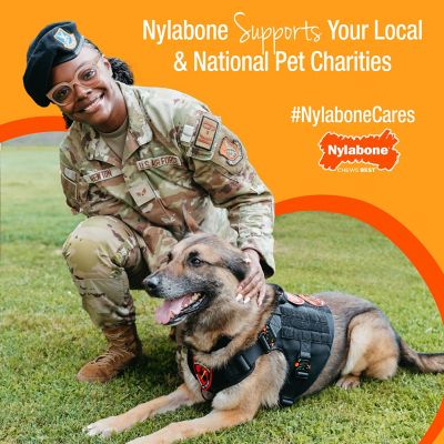 Image showing 9 th Nylabone Dura Chew Peanut Butter Flavored Dog Chew Bone, Medium