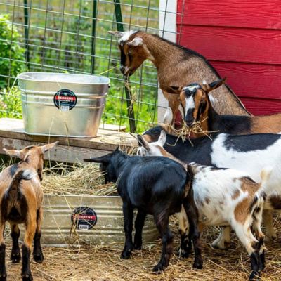 Image showing  15.5 gal. Hot Dipped-Zinc Steel Square Tub