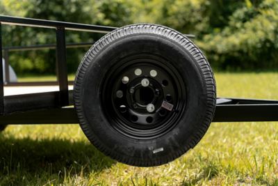 Image showing 8 th Carry-On Trailer Spare Tire Carrier