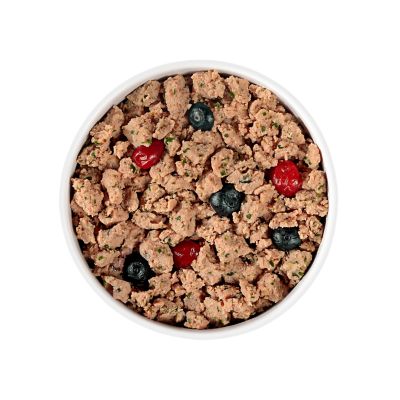 Image showing  Vital Clean Nutrition All Life Stages Grain Free Turkey Recipe with Spinach and Berries Fresh Dog Food Roll, 2 lb.
