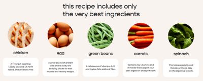 Image showing  Vital Clean Nutrition All Life Stages Chicken Recipe with Whole Grain and Green Beans Fresh Dog Food, 1.75 lb.
