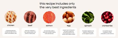 Image showing  Vital Clean Nutrition All Life Stages Grain Free Chicken, Beef, Salmon and Egg Recipe Fresh Dog Food, 5.5 lb.