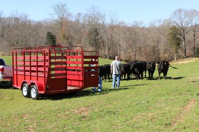 Image showing  6 x 12ft. Livestock Trailer, 4,900 lb. Max Capacity