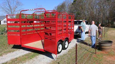 Image showing  6 x 12ft. Livestock Trailer, 4,900 lb. Max Capacity