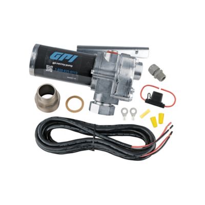 Image showing 6 th GPI 15 GPM 12V Fuel Transfer Pump, Pump Only