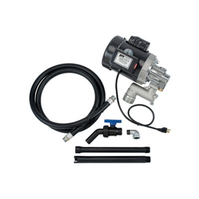 Image showing 6 th GPI 4 GPM, 115V Electric Heavy Duty Oil Transfer Pump