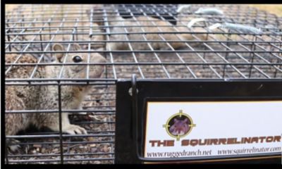 Image showing  2-Door Squirrelinator Squirrel Trap Only
