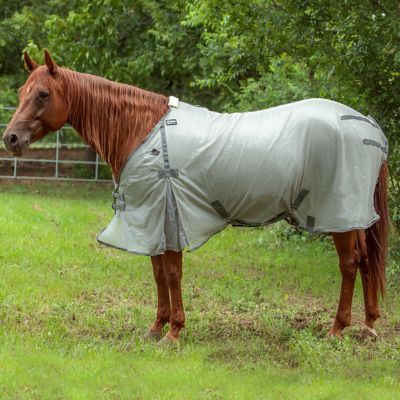 Image showing  Economy Horse Fly Sheet