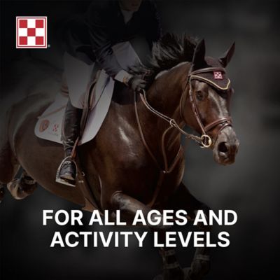 Image showing  SuperSport Amino Acid Horse Supplement