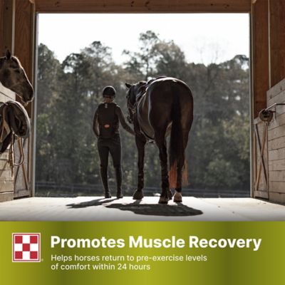 Image showing 5 th Purina SuperSport Amino Acid Horse Supplement