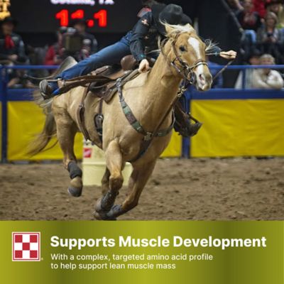 Image showing 6 th Purina SuperSport Amino Acid Horse Supplement