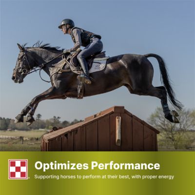 Image showing 7 th Purina SuperSport Amino Acid Horse Supplement