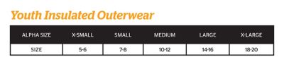 Image showing  Boys' Softstone Duck Insulated Bib Overalls