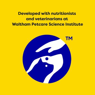 Image showing 9 th Temptations Classic Crunchy and Soft Seafood Medley Flavor Cat Treats, 16 oz. Tub