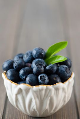 Image showing  1.5 gal. Potted Brightwell Blueberry #2 Shrub