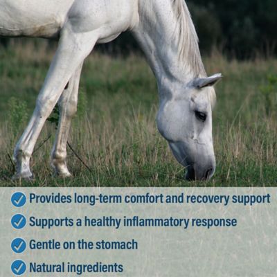 Image showing  Bute-Less Comfort and Recovery Pelleted Horse Supplement, 5 lb.