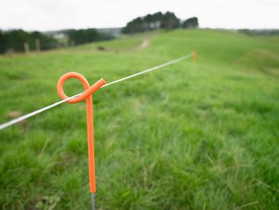 Image showing  Lightweight Pigtail Fence Post, White/Orange