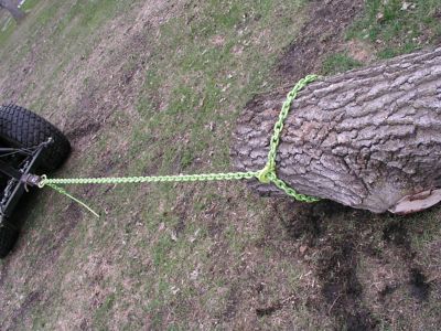 Image showing 5 th Timber Tuff Choker Chain with Probe Stake