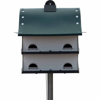 Royal Wing American Barn Purple Martin Bird House