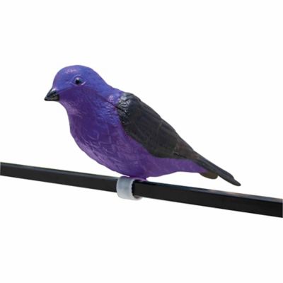 Royal Wing Purple Martin Decoy