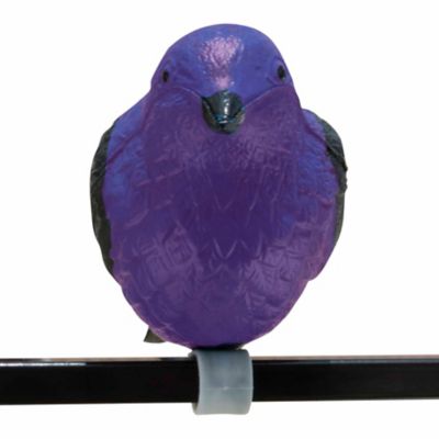 Image showing  Purple Martin Decoy