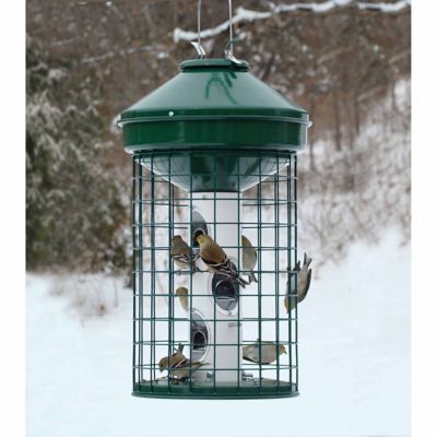 Image showing  3 gal. Squirrel-Resistant Jumbo Capacity Caged Mixed Seed Bird Feeder