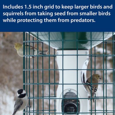 Image showing  3 gal. Squirrel-Resistant Jumbo Capacity Caged Mixed Seed Bird Feeder
