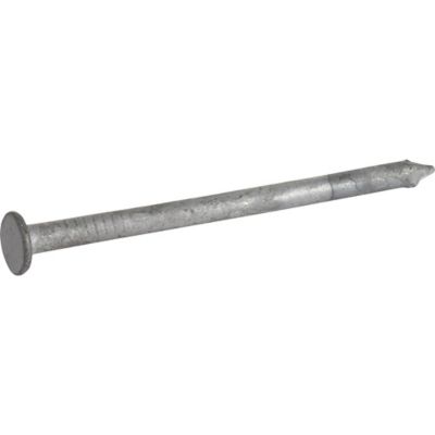 Hillman 6D x 2 in. Galvanized Common Nail, 1 lb.