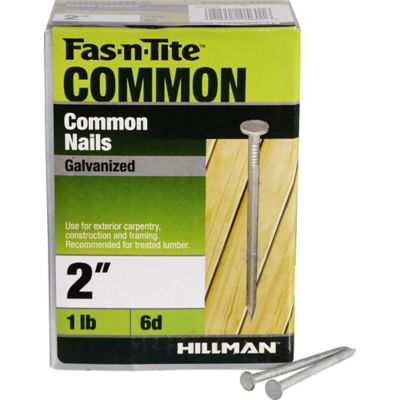 Image showing  6D x 2 in. Galvanized Common Nails, 159 ct.