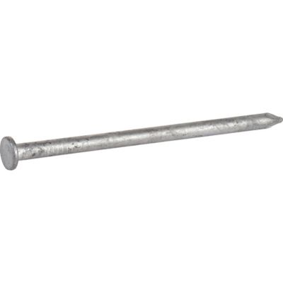 Hillman 8D x 2-1/2 in. 8 Gauge Galvanized Common Nails, 94 ct.