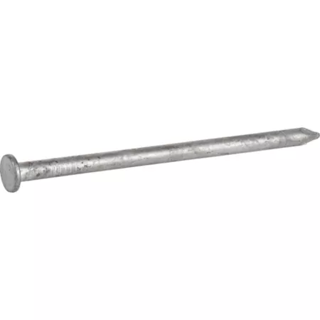 Hillman 8D x 2-1/2 in 8 gauge galvanized common nails 94 ct Common Nails