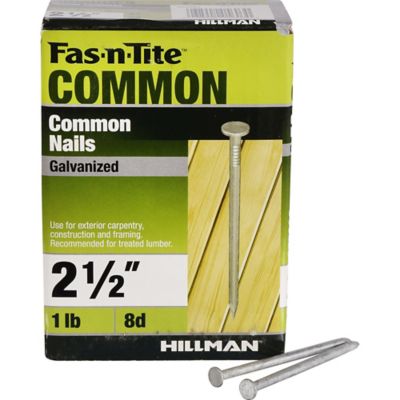 Image showing  8D x 2-1/2 in. 8 Gauge Galvanized Common Nails, 94 ct.