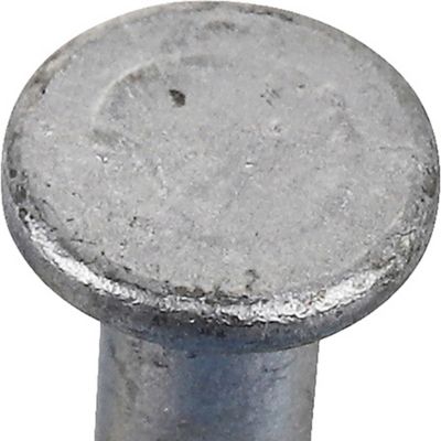 Image showing  8D x 2-1/2 in. 8 Gauge Galvanized Common Nails, 94 ct.