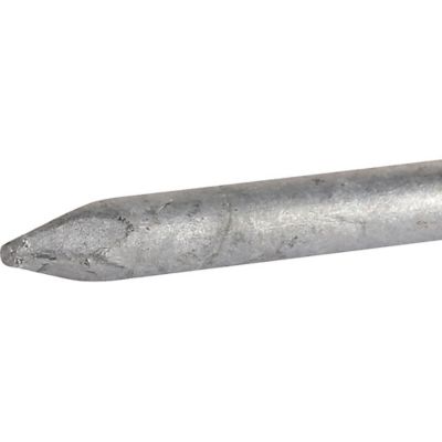 Image showing  8D x 2-1/2 in. 8 Gauge Galvanized Common Nails, 94 ct.