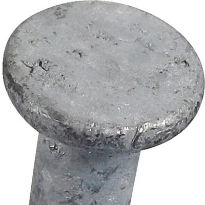 Image showing  3 in. 10-Gauge Fas-N-Tite Hot Dipped Galvanized Common Nails, 61 ct.