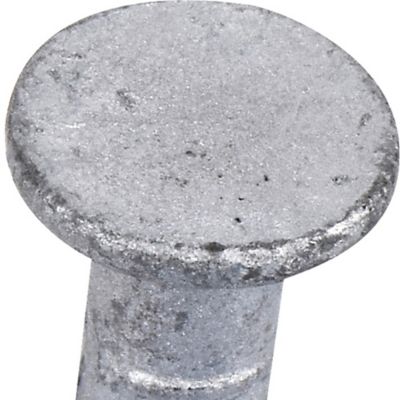 Image showing  3-1/2 in. 16-Gauge Fas-N-Tite Hot Dipped Galvanized Common Nails, 44 ct.