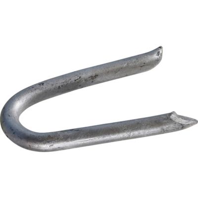 Hillman 1-1/4 in. Galvanized Fence Staple, 1 lb.