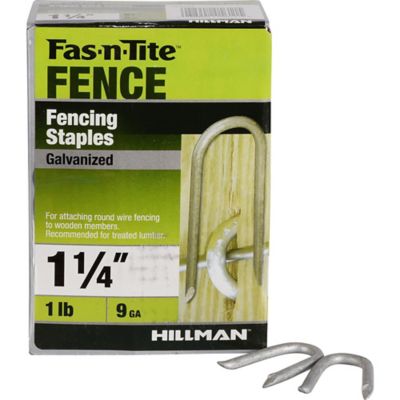 Image showing  1-1/4 in. 9-Gauge Galvanized Fence Staples, 81 ct.