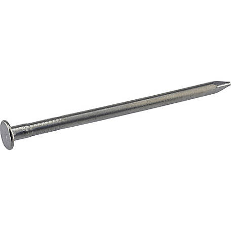 Ace 8D 2-1/2 in. Common Bright Steel Nail Round Head 5 lb Ace 8D 2-1/2 in. Common Bright Steel Nail Round Head 5 lb