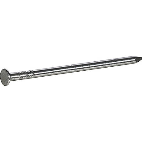 Stallion 10D 3 in. Common Bright Steel Nail Large Head 25 lb Stallion 10D 3 in. Common Bright Steel Nail Large Head 25 lb