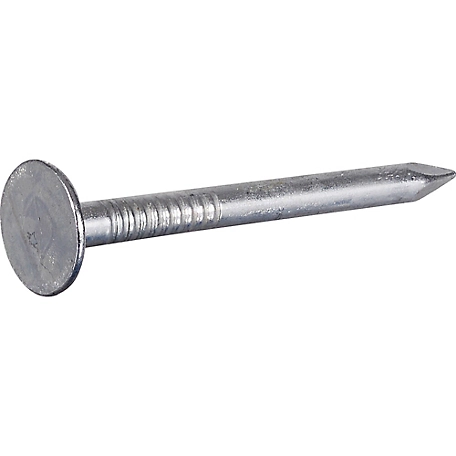 Hillman 2 in. Galvanized Roofing Nail, 11 Gauge, 1 lb.