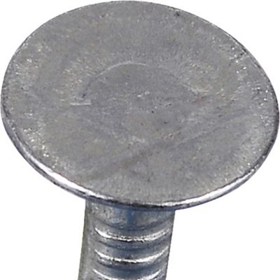 Image showing  2 in. 11 ga. Fas-N-Tite Electro-Galvanized Roofing Nails, 134 ct.