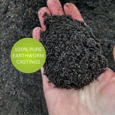 Image showing  4 lb. Earthworm Castings