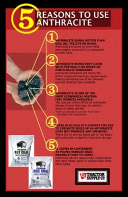 Image showing Premium Nut Coal, 40 lb.
