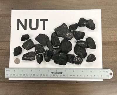 Image showing Premium Nut Coal, 40 lb.