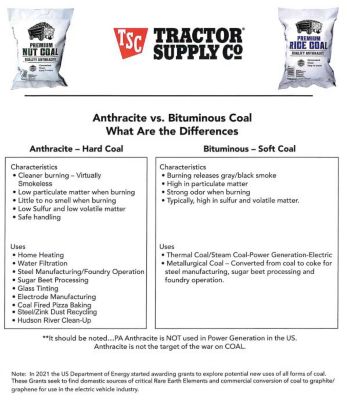 Image showing Premium Nut Coal, 40 lb.